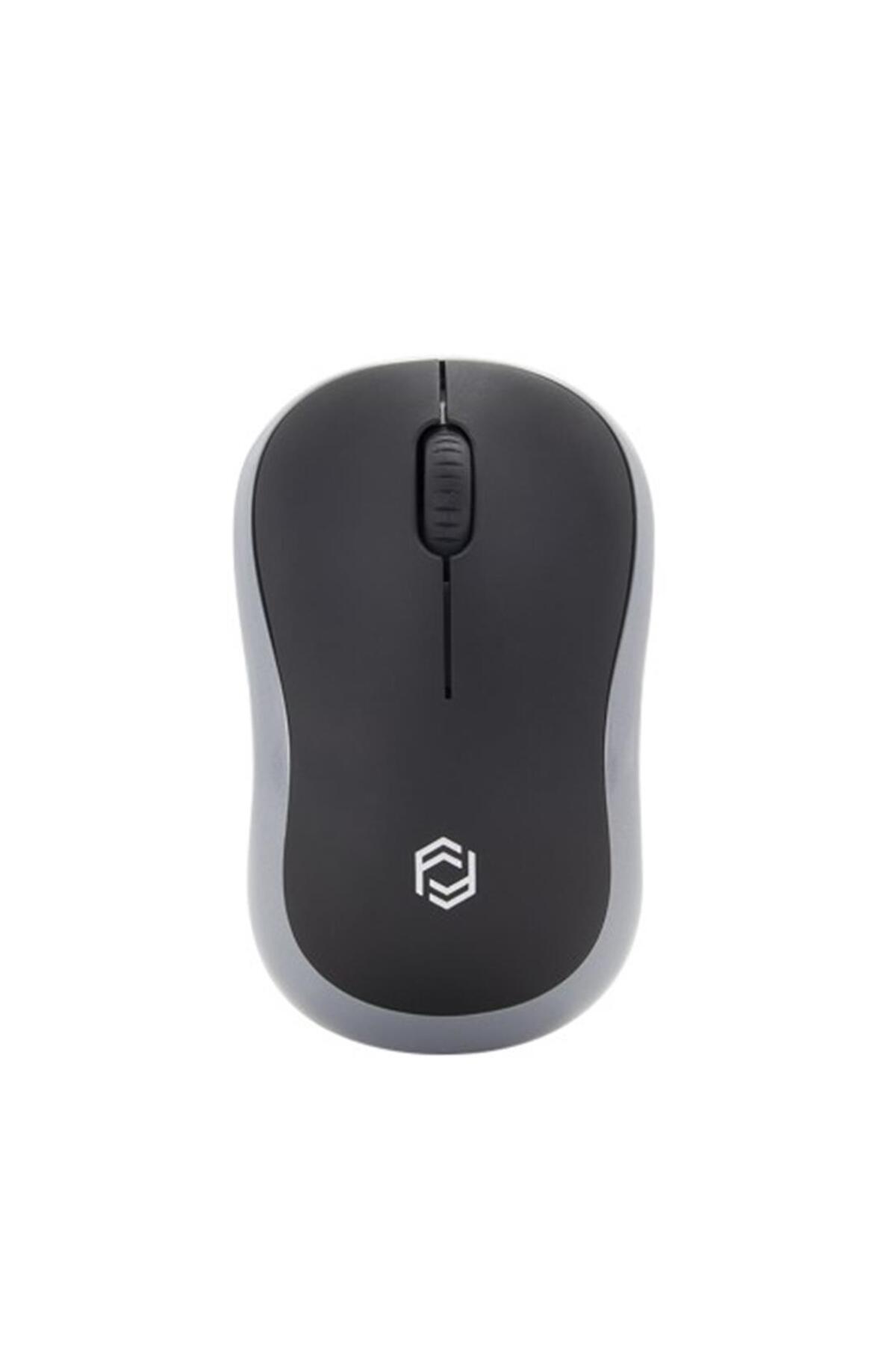 FM-272WM Kablosuz Optik  Mini Nano Alıcı Kablosuz Mouse